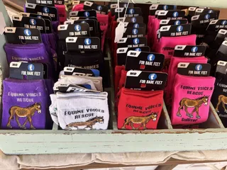 Gulliver & Friends Boutique