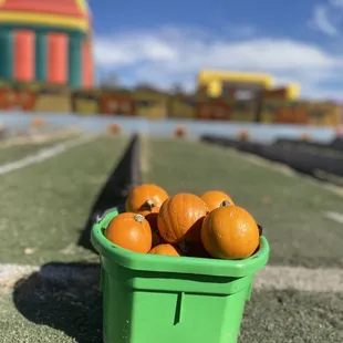 Pumpkin bowling