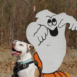 Truman loves friendly ghosts