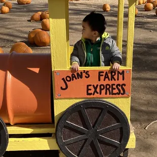 Various places/backdrops for nice fall photos!