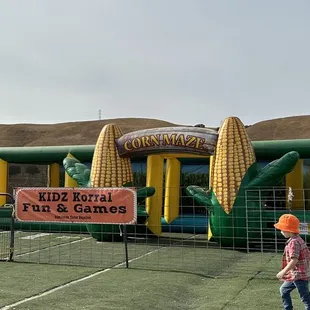 Corn maze