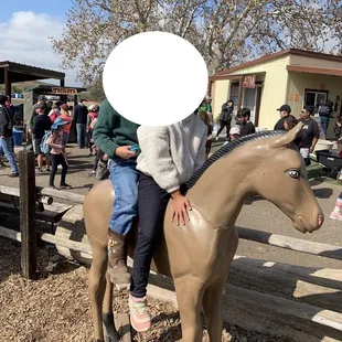 Riding the "horse" - this is the area kids can get onto fake animals