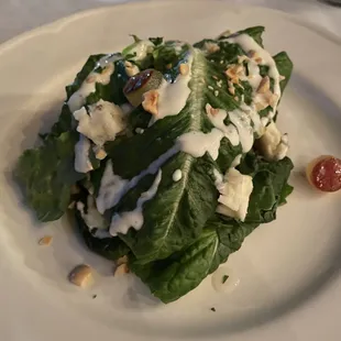 Coastal Star Romaine
