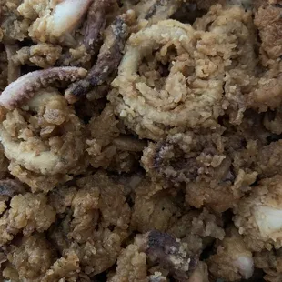 Fried Calamari