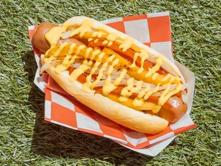 Diggy Dogs