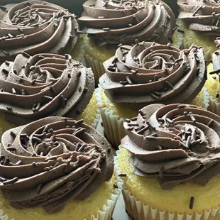 Yellow cupcakes with chocolate buttercream