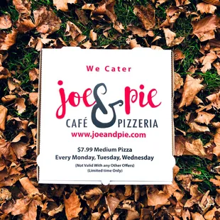 My favorite season is Fall 
What is yours ?