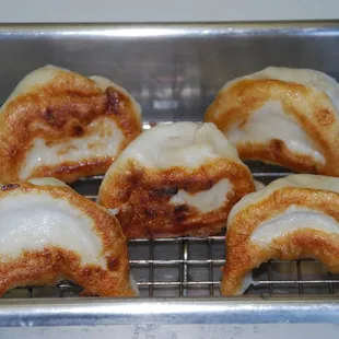 Pot Stickers