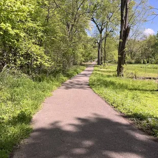 Joe Creason Park