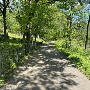 Continuation of path