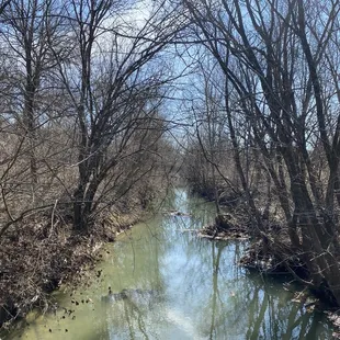 Beargrass Creek in Joe Creason Park.
