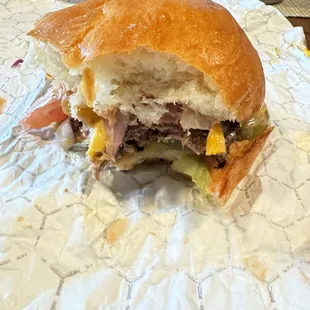 Cheese Burger with oversized dry bun.