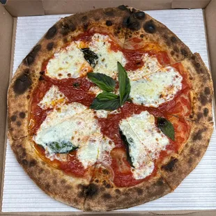 Margherita pizza