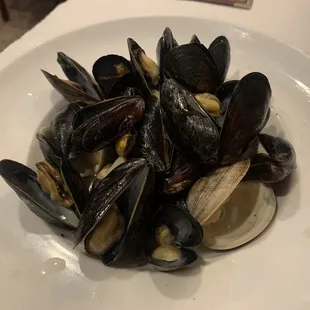 Clams and mussels in white sauce appetizer