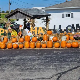a display of pumpkins