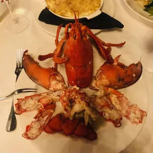 Lobster prepared by our server.