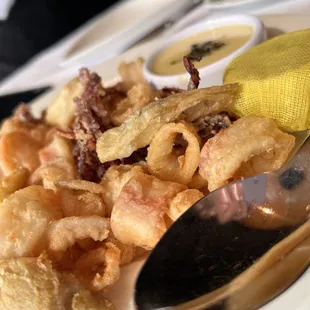 Fried Calamari