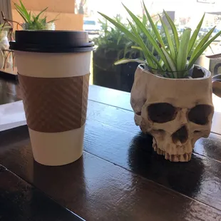 Hazelnut latte on a cold but sun shining day.