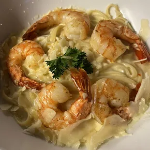 Linguine with white sauce and shrimp, totally amazing, perfectly cooked