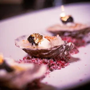 food, shellfish, oysters and mussels, mussels, oysters