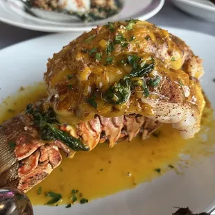 Lobster Tail
