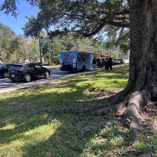 Sunday location at the Park across from Tulane