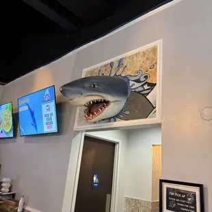 Shark. Couldn't find the back half though.