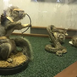 a squirrel and a hedgehog