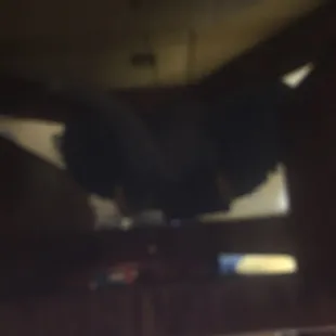 a black bird perched on a bar