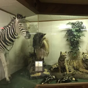 a display of a zebra and other animals