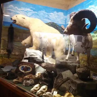 Cheap beer, taxidermy, bar food. Very interesting place. Worth a visit.