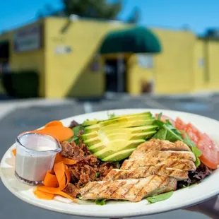 a person holding a plate of food
