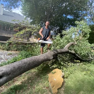  man cutting a tree with a chainsaw