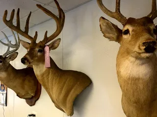 Ronnie Berrys Halal Meats