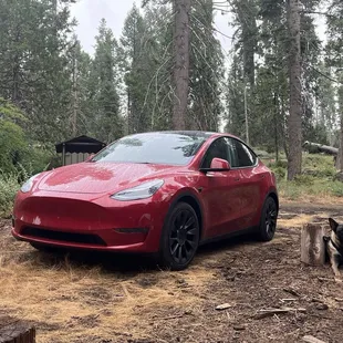 Tesla Model Y tinted in 2023