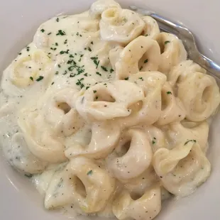 Tortellini Alfredo