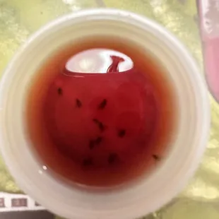 Fruit flies in their vinaigrette dressing.