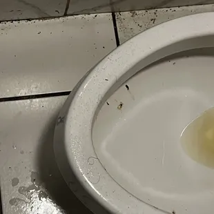 a dirty toilet bowl
