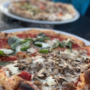 Roma pizza with mushroom and Margherita pizza on the other half