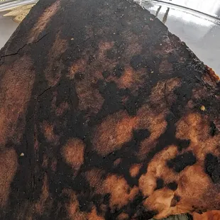 a piece of burnt pizza