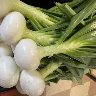 Florida Sweet Strawberry Onions are here