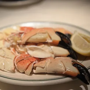 Medium Stone Crab