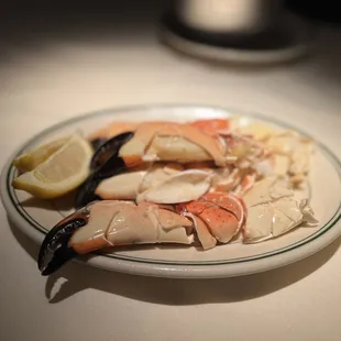 Medium Stone Crab