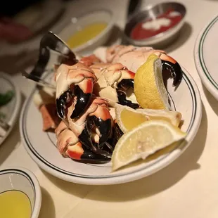 Florida Stone Crab