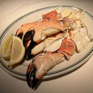 Medium Stone Crab