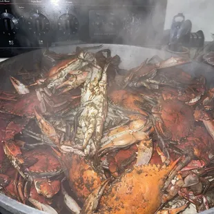 Medium Male Crabs from Joe's heavy seasoning &amp; delicious