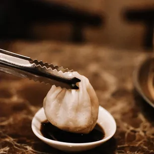 Pork Meat Soup Dumpling