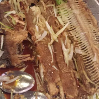 Flounder