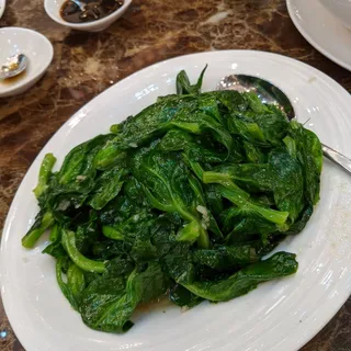 Snow Pea Leave