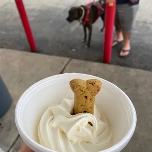 Free ice cream treat for dogs on Wednesday!